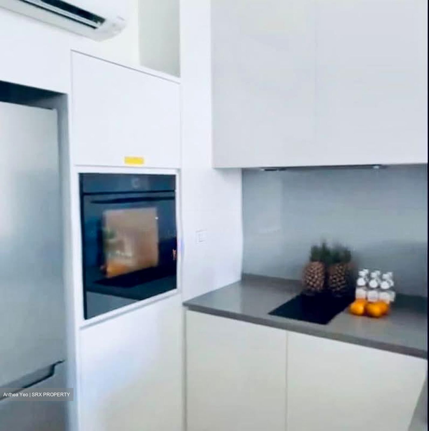 Amber Park (D15), Condominium #563012961